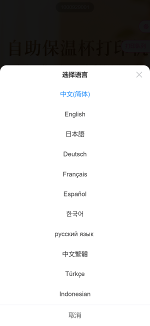 图 17:语言列表(共 11 种语言)